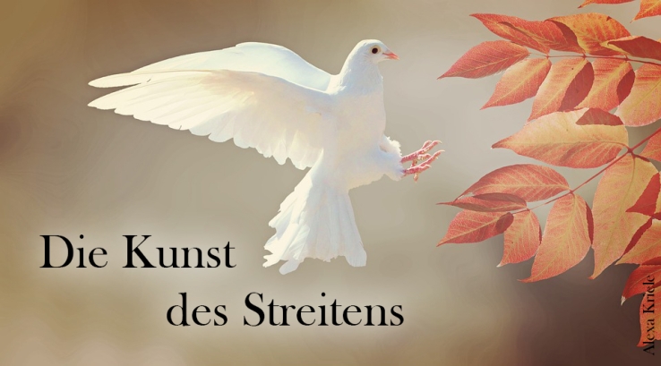 Die Kunst des Streitens