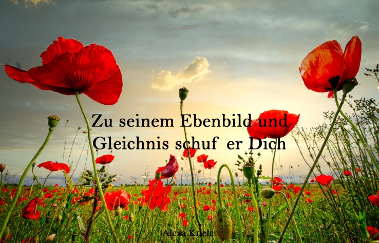 Zu seinem Ebenbild