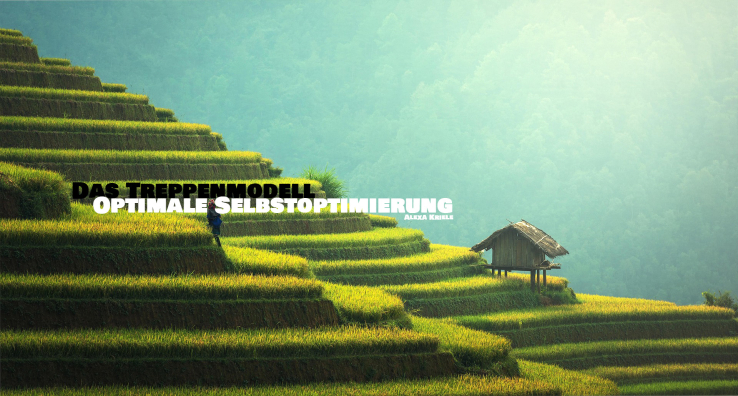 Das Treppenmodell - Optimale Selbstoptimierung