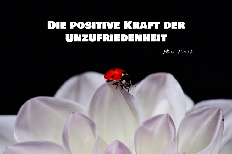Die positive Kraft der Unzufriedenheit