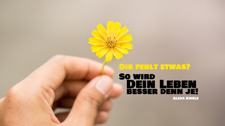 Dir fehlt etwas? So wird Dein Leben besser denn je!
