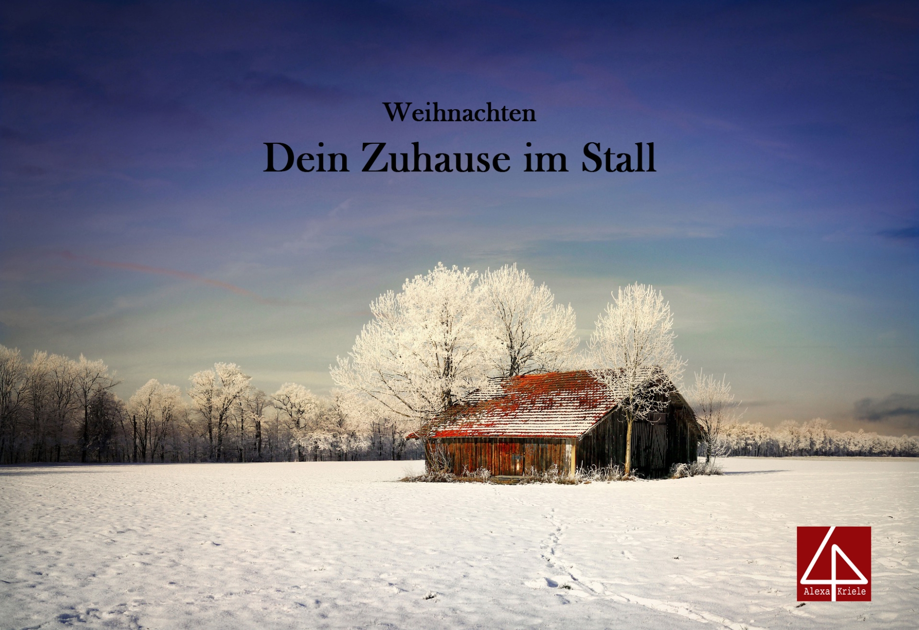 Dein Zuhause im Stall