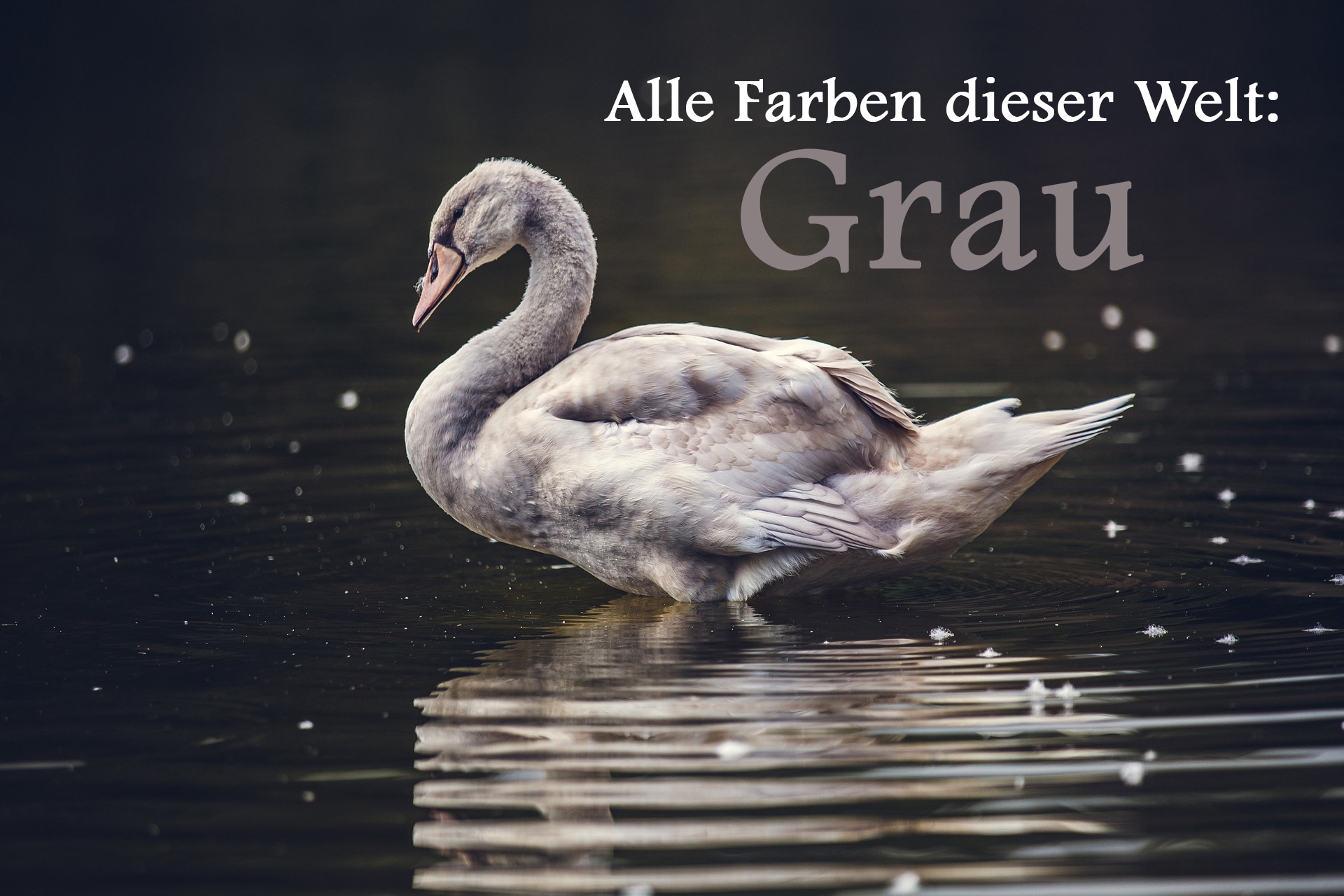 Alle Farben dieser Welt: Grau