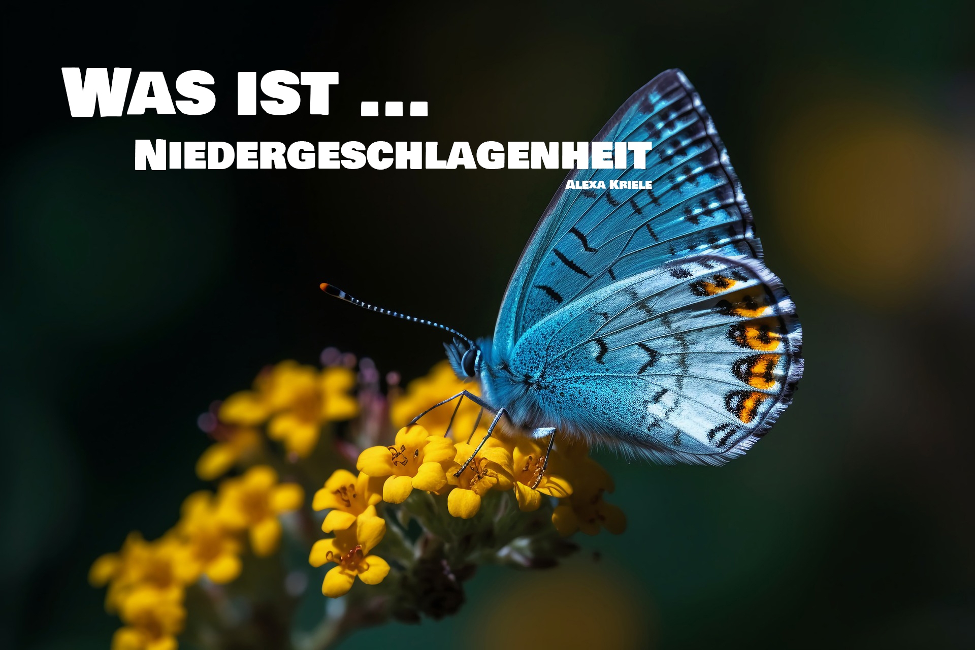 Was ist eigentlich...