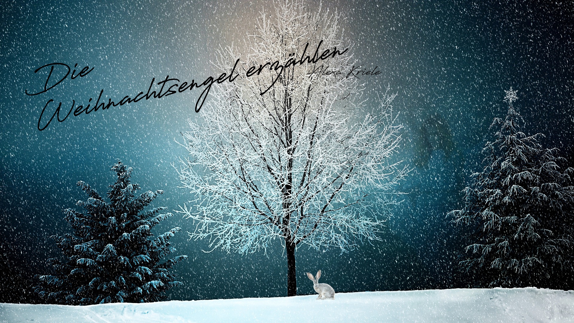 Die Weihnachtsengel erzählen