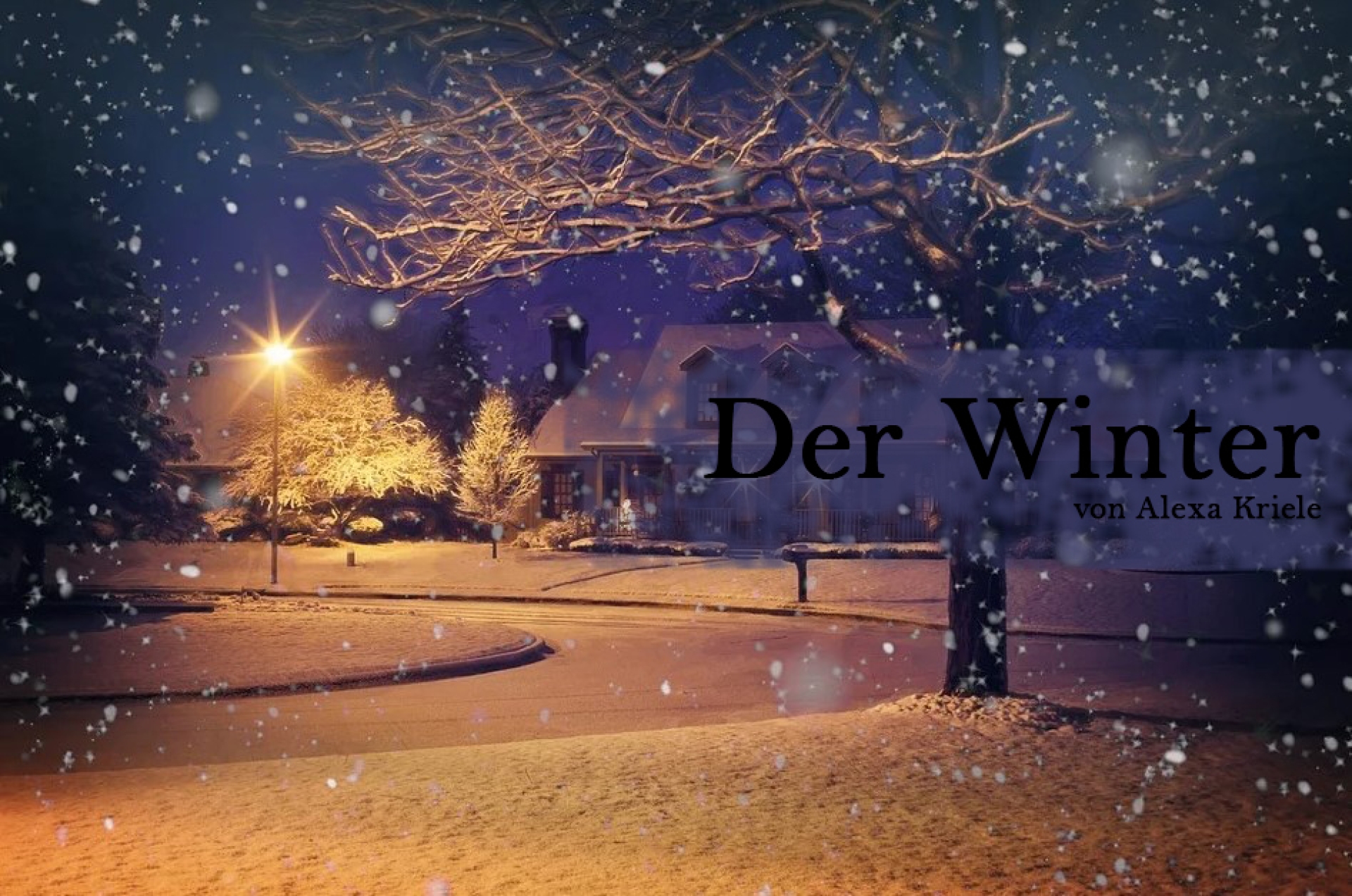 Die vier Jahreszeiten: Winter