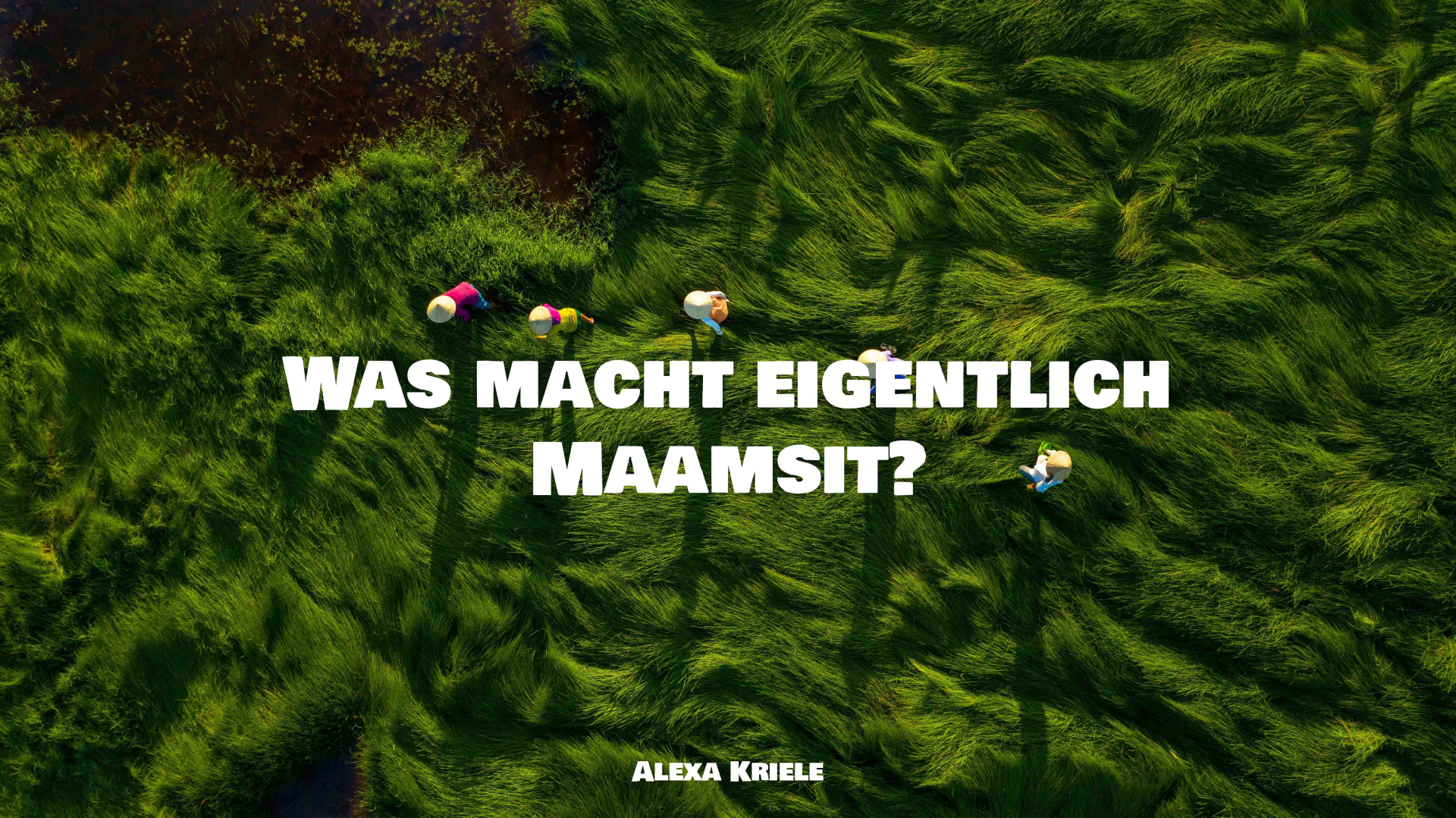 Was macht eigentlich Maamsit?